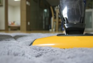 vacuum cleaner cleaning carpet