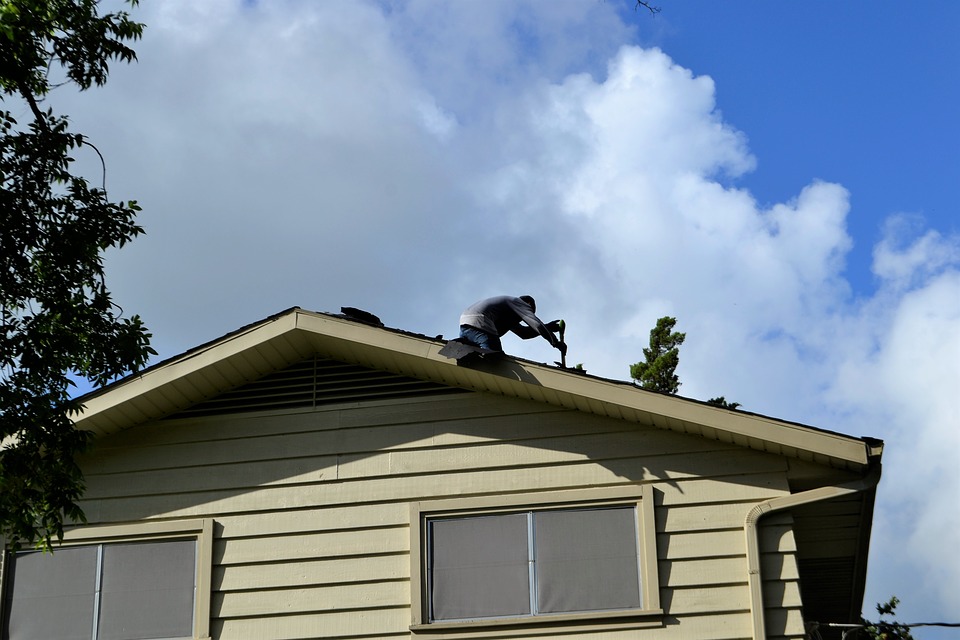professional roof repair